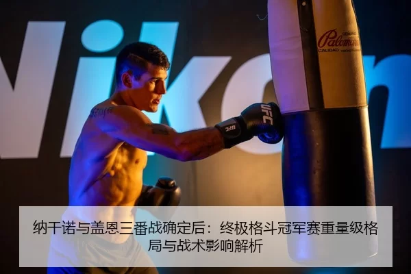 纳干诺与盖恩三番战确定后：终极格斗冠军赛重量级格局与战术影响解析